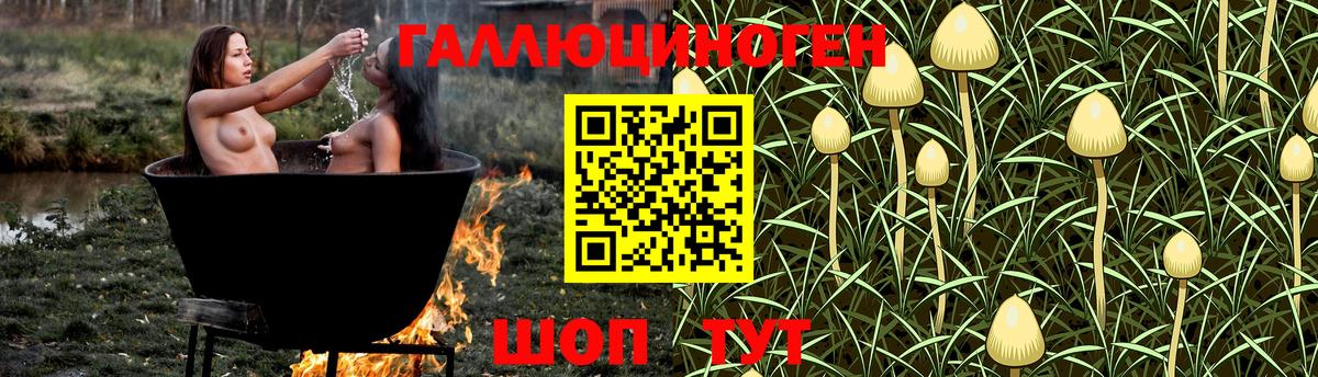 Галлюциногенные грибы MAGIC MUSHROOMS Гусев